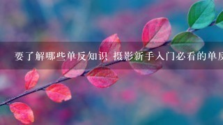 要了解哪些单反知识 摄影新手入门必看的单反基础知识