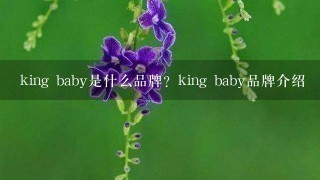 king baby是什么品牌？king baby品牌介绍