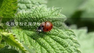 化妆学校正规学校排名