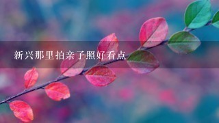 新兴那里拍亲子照好看点