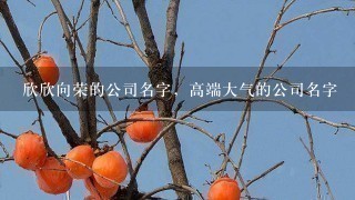 欣欣向荣的公司名字，高端大气的公司名字