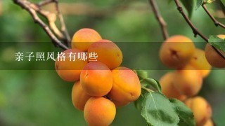 亲子照风格有哪些