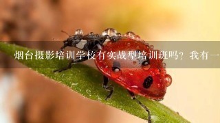 烟台摄影培训学校有实战型培训班吗？我有1些基础