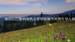 索尼T777数码相机怎样把电脑里的照片导入相机里