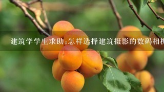 建筑学学生求助:怎样选择建筑摄影的数码相机