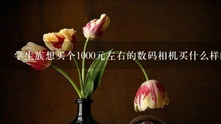 学生族想买个1000元左右的数码相机买什么样的合适呢