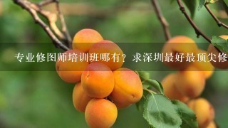 专业修图师培训班哪有？求深圳最好最顶尖修图师培养班！！！