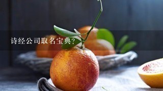 诗经公司取名宝典？