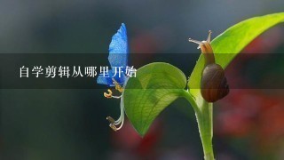 自学剪辑从哪里开始