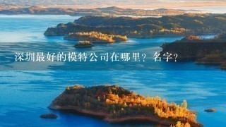 深圳最好的模特公司在哪里？名字？