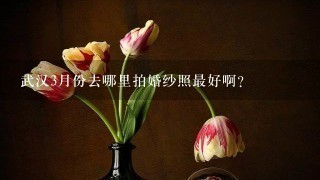 武汉3月份去哪里拍婚纱照最好啊？