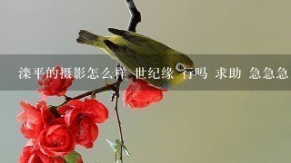 滦平的摄影怎么样 世纪缘 行吗 求助 急急急