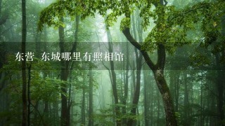 东营 东城哪里有照相馆