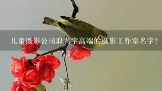 儿童摄影公司取名字高端的摄影工作室名字？