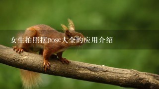 女生拍照摆pose大全的应用介绍