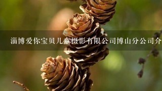 淄博爱你宝贝儿童摄影有限公司博山分公司介绍？