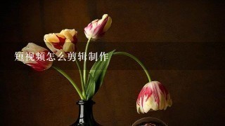 短视频怎么剪辑制作