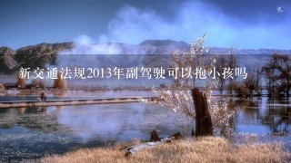 新交通法规2013年副驾驶可以抱小孩吗