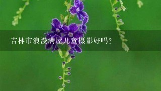 吉林市浪漫满屋儿童摄影好吗？