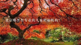 北京哪里有专业的儿童照相机构?