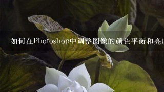 如何在Photoshop中调整图像的颜色平衡和亮度对比度以使它们看起来更像黑底白字的效果呢？