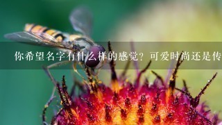 你希望名字有什么样的感觉？可爱时尚还是传统呢？