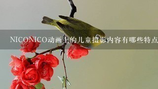 NICONICO动画上的儿童摄影内容有哪些特点和亮点吗？