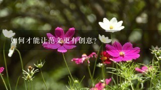 如何才能让范文更有创意?