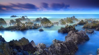 What is your favorite animal?