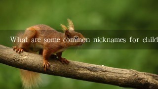 What are some common nicknames for children?