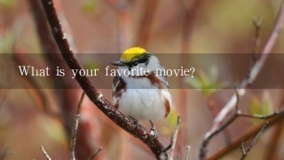 What is your favorite movie?