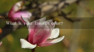 What is your favorite color?