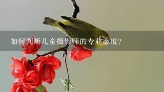 如何判断儿童摄影师的专业态度?