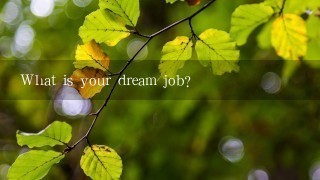 What is your dream job?