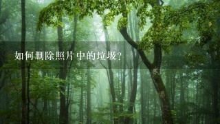 如何删除照片中的垃圾?