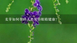 麦芽如何帮助人类保持眼睛健康?